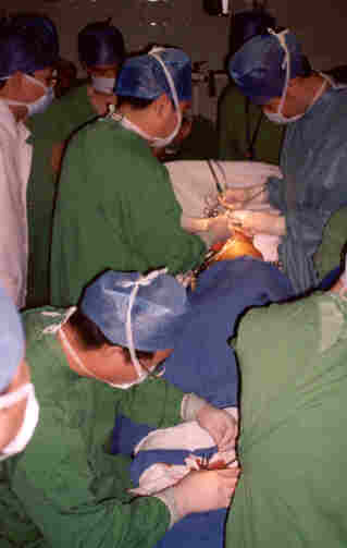 Peripheral Nerve Rerouting Surgery for SCI